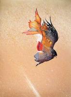 Predatory Birds by Roy Tomlinson