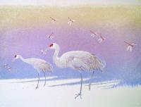 Sandhill Cranes by Roy Tomlinson