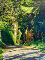 Path by Cedar by Dan Varnals