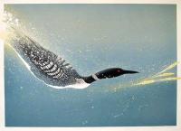 Loon Fishing by Roy Tomlinson