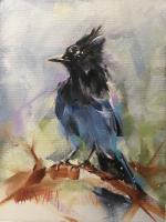 Steller's Jay by Wendy Hart Penner