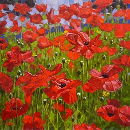 Poppy Field by Graeme Shaw