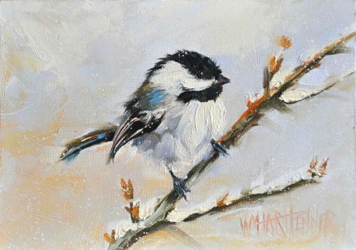 Chickadee in Forsythia by Wendy Hart Penner